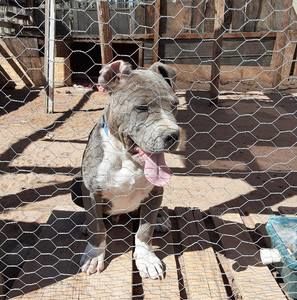 Meet your Posher, Jorge